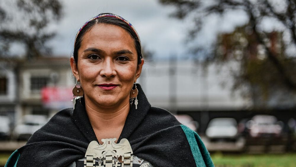 Exconvencional Rosa Catrileo arriba a Desarrollo Social: Coordinará asuntos indígenas