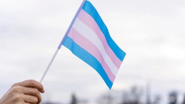 Gobierno eliminó web de programa para niños y adolescentes trans: La página se habilitó horas después tras críticas