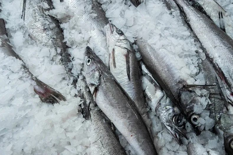 10571 a uno 1496746.webp