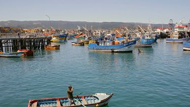 Pescadores artesanales piden aumentar cuota de jurel de 10% a 20% para enfrentar crisis