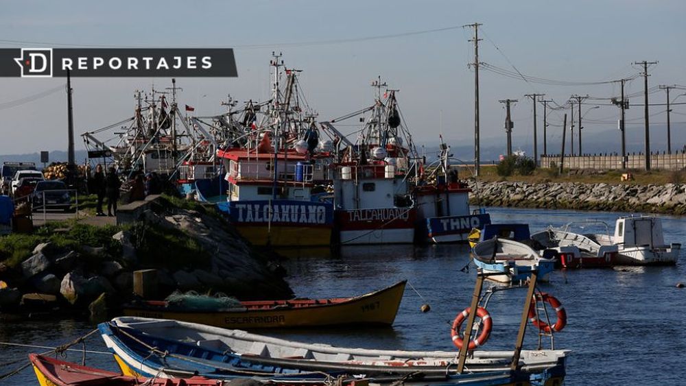 La excesiva dilatación del debate de la Ley de Pesca que sólo beneficia a la gran industria