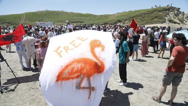 La revolución de los flamencos en Albania contra Donald Trump - Agencia EFE