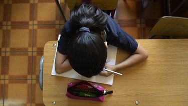 “No vamos a aceptar que caminen en el siglo XXI sin memoria”: Alcalde de El Bosque anunció que mantendrá Historia y Educación Física como obligatorios