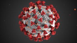 Florida sobrepasa en un día los 20.000 casos de contagio por COVID-19