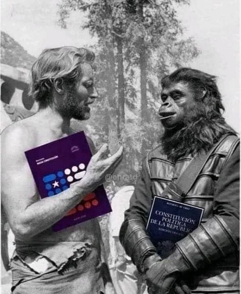 Meme difundido en rrss.jpg