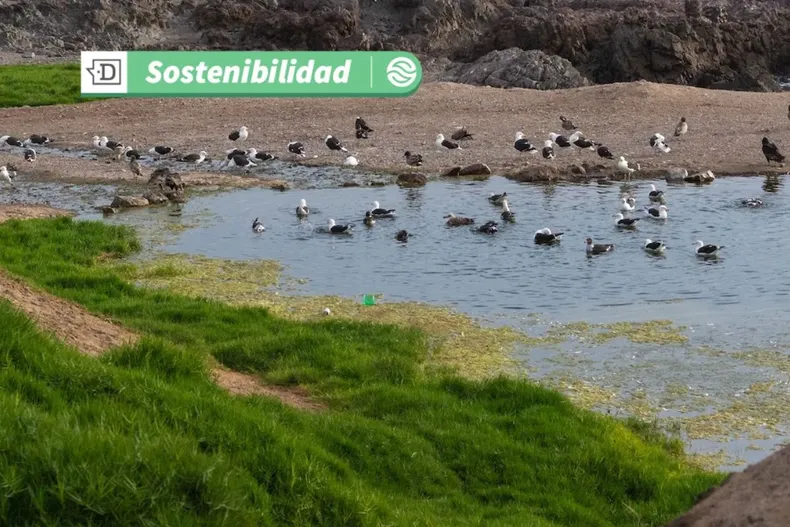 20212 diseno sin titulo 58.webp