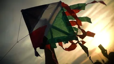 El Desconcierto | 23472 la raiz de olivo.webp