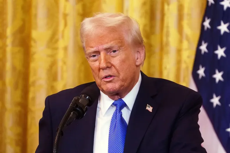 11420 diseno sin titulo 92.webp