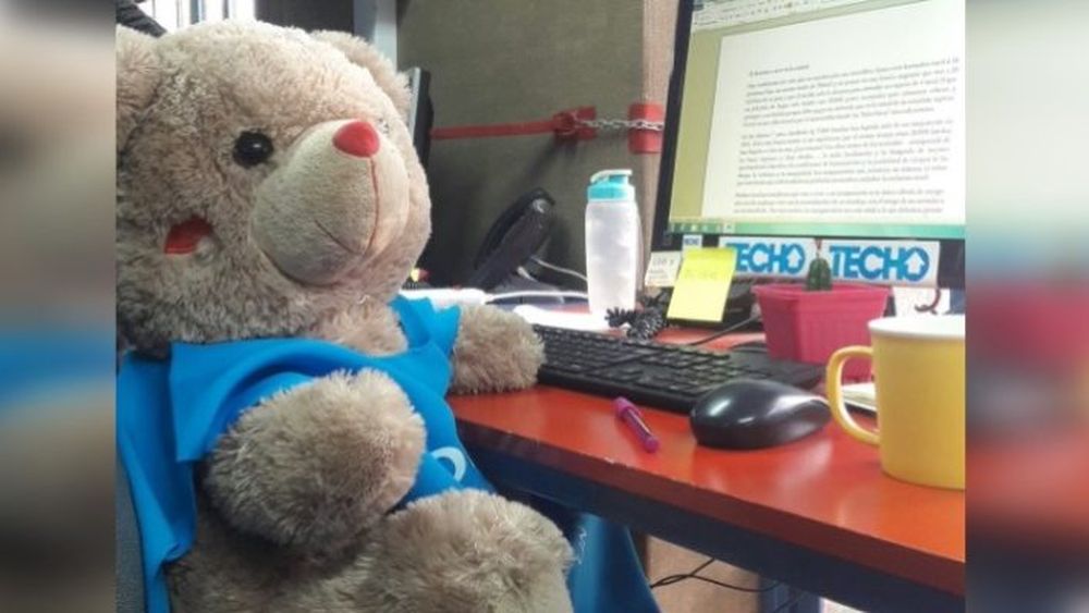 REDES| Cathy Barriga vs Techo Chile: Un oso de peluche provocó el enojo de la alcaldesa