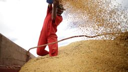 COP26: ¿Están los sistemas alimentarios por fin en el menú de los compromisos climáticos?