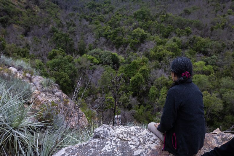 Aguila Sur_Paine_076