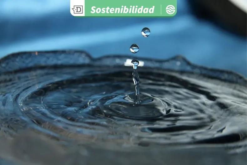 20945 diseno sin titulo 2025 08 18t113654.webp