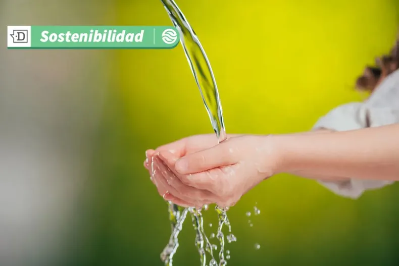 18483 diseno sin titulo 2025 07 02t165242.webp