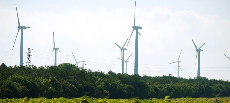 Economia verde 3.jpg