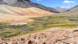 Putaendo contra la gran minería: un caso demostrativo del funcionamiento del SEIA en tiempos de pandemia