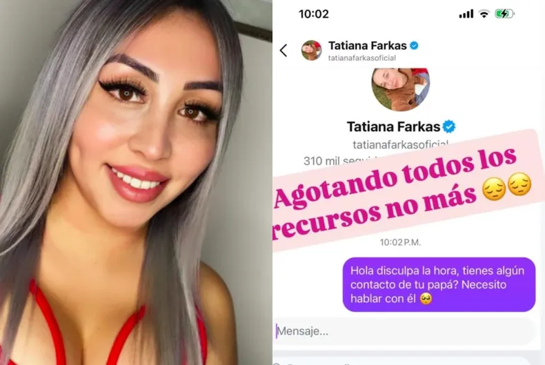 11341 naya facil farkas.webp