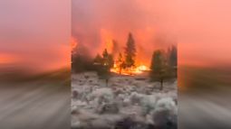 Incendios forestales no dan tregua en Norteamérica: Miles de evacuados por llamas sin control