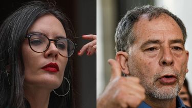 Vallejo y la “lista del indulto” de Girardi: “No es bueno caer en caricaturas”