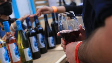 El vino chileno busca afianzar sus exportaciones con Asia y América como meta
