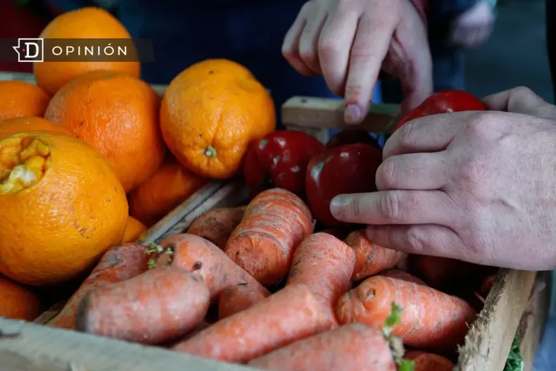 15033 una manos tocando unas verduras en una caja.webp