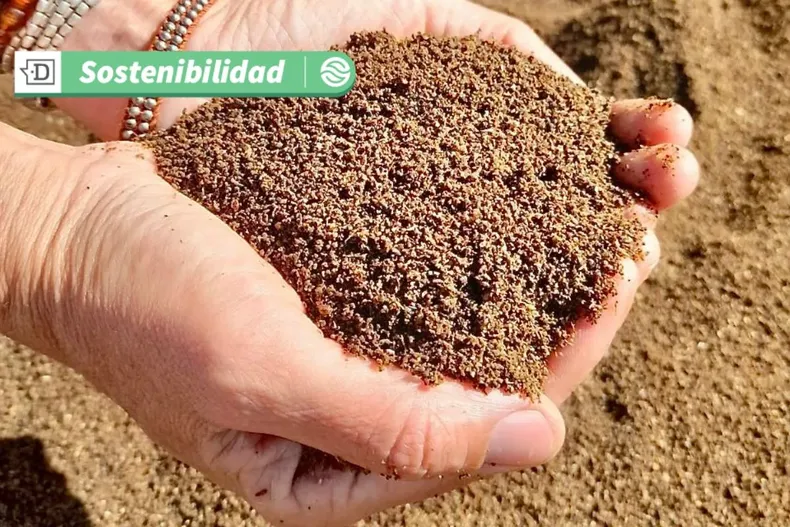 16751 diseno sin titulo 2025 06 03t114016.webp