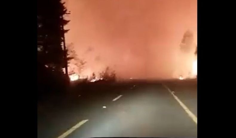 Incendio forestal. jpg.jpg
