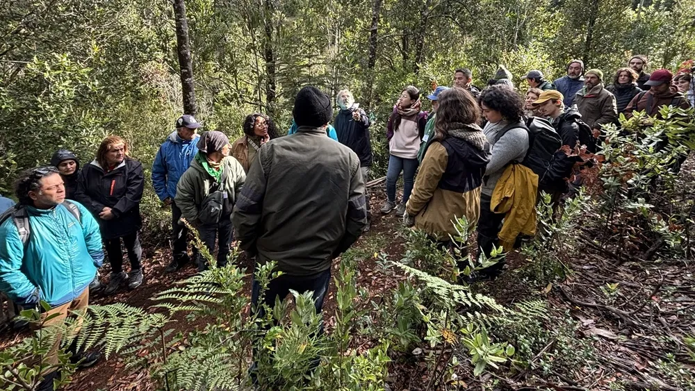 Nace primera red de vigilantes del bosque nativo: Vecinos e indígenas monitorean 11 mil hectáreas entre Valparaíso y Los Lagos