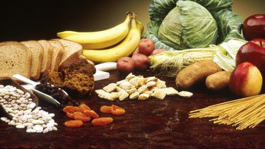 Tras petición de ONG Animal Libre: Minsal reconoce beneficios de dieta vegana o vegetariana