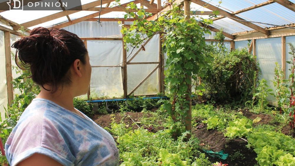 Día de las Campesinas y Campesinos: El campo como proyecto de vida