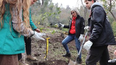Maratón de Santiago y su compromiso con la sostenibilidad - Imagen cedida