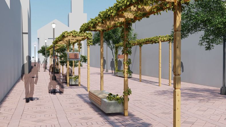 Parras en La Serena.jpeg