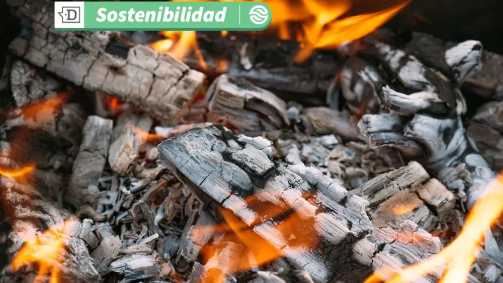 Impacto positivo en la salud: UDD y NASA lanzan proyecto que medirá la calidad del aire en el Maule mediante satélite