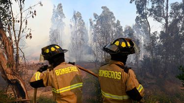 Alerta Temprana Preventiva en Región Metropolitana: Altas temperaturas elevan riesgo de incendios