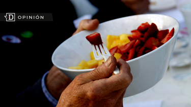 El Desconcierto | Alimentacion saludable e1702322903619.png