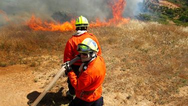 Declaran alerta roja en Pirque por incendio forestal