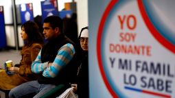 Urge subir trasplantes en Chile: De 3.000 personas en espera, sólo 400 tuvieron éxito