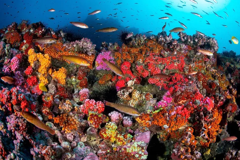 30749 38ef04631dbd656ebb45413938beb67c23cc8a53.webp