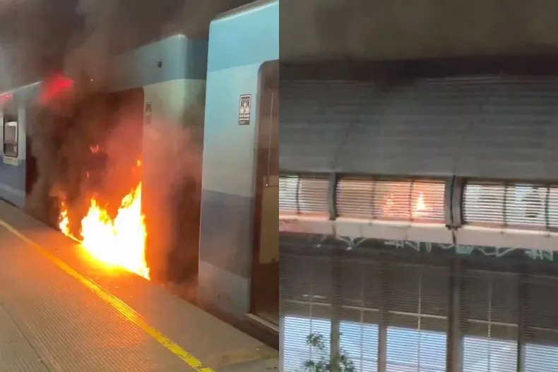 22055 diseno sin titulo 58.webp