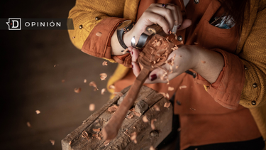 El Desconcierto | Regalemos Vida e1702476098914.png