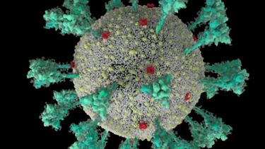 Japón golpeado nuevamente por la pandemia: Estamos viendo un incremento a una velocidad sin precedentes