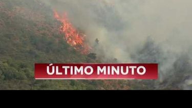 Expertas valoran positivamente cobertura de incendios en comparación con otras tragedias