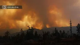 Aprobar la Ley de Incendios es una urgencia para Chile