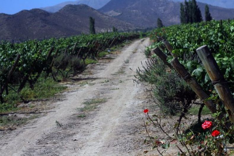 A_UNO_627081 scaled e1635619751893.jpg