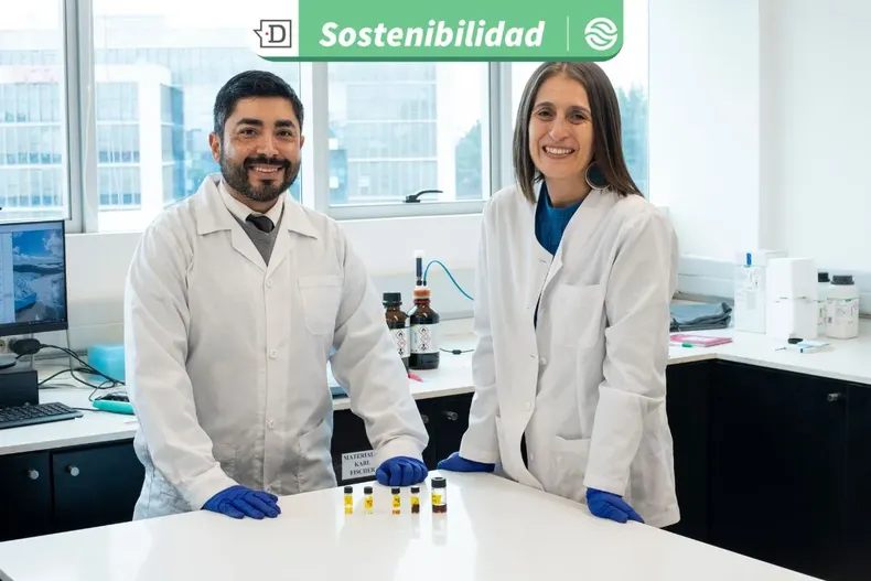 21172 diseno sin titulo 2025 08 21t125710.webp