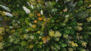 La nueva Guía de Greenshouting es gratuita y busca que empresas comuniquen sus avances ambientales con evidencia y sostenibilidad, evitando el greenwashing.