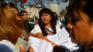 Respuesta a Roxana Miranda: La ternura insolente de los cachorros y las cachorras