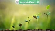 crecer o resistir frente al estres hidrico: cientificos descubren proteina que activa mecanismo clave en plantas