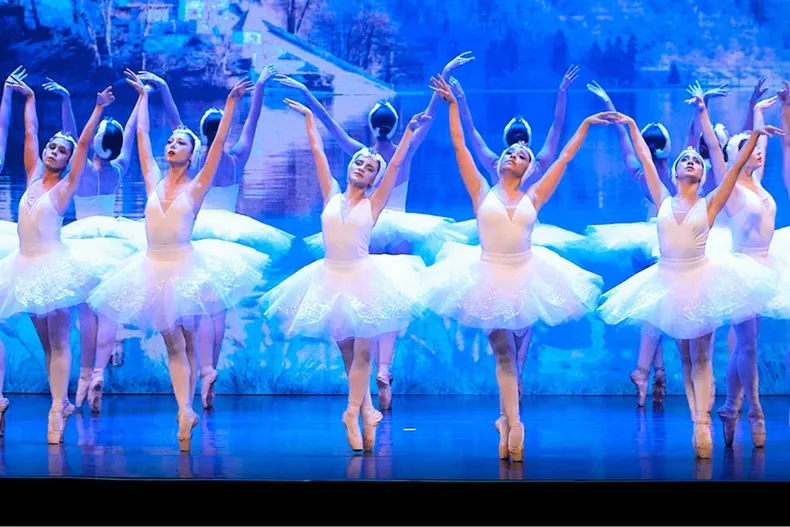 17187 diseno sin titulo 2025 06 10t130327.webp