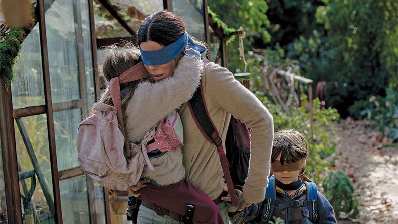 birdboxbullock.jpg