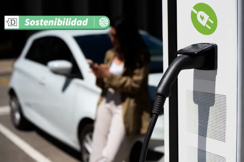 17515 diseno sin titulo 2025 06 16t111732.webp